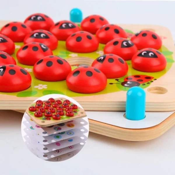 Tooky Memory Game - Ladybug