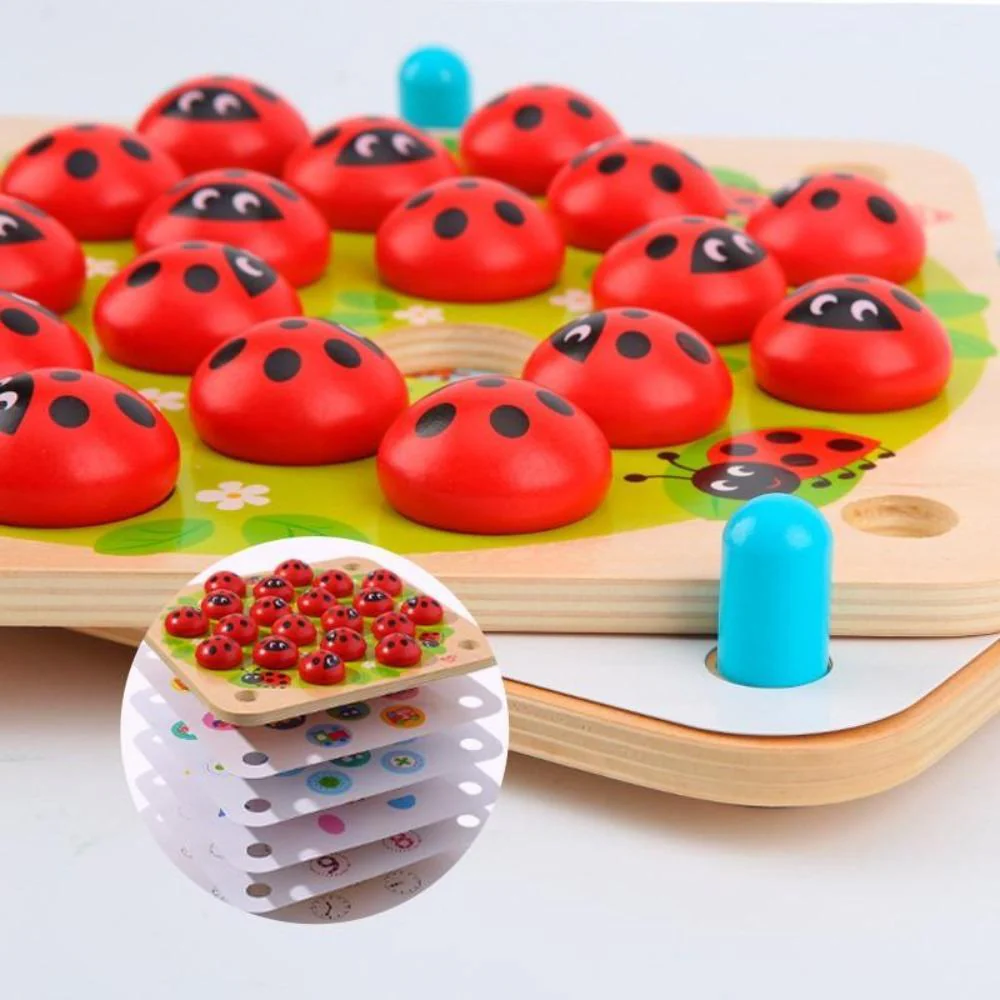 Tooky Memory Game - Ladybug